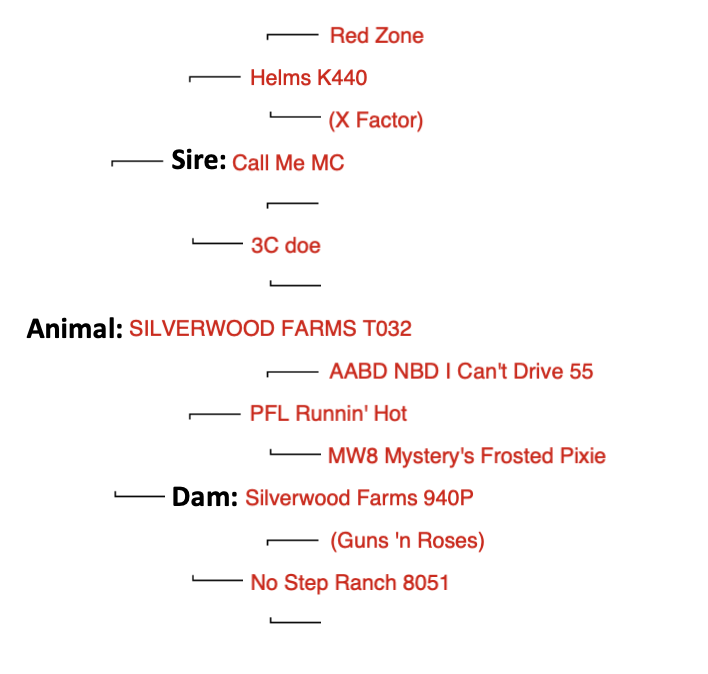 Screenshot 2024-09-13 at 7.32.56 AM
