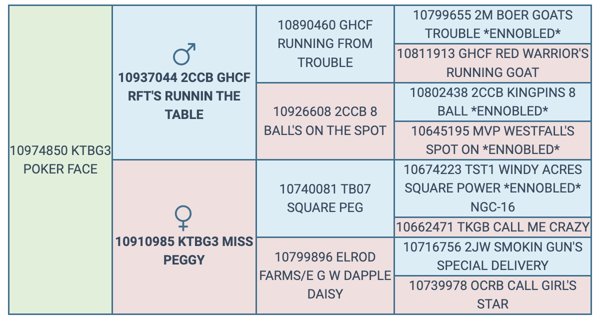 Screenshot 2024-10-05 at 5.57.16 PM