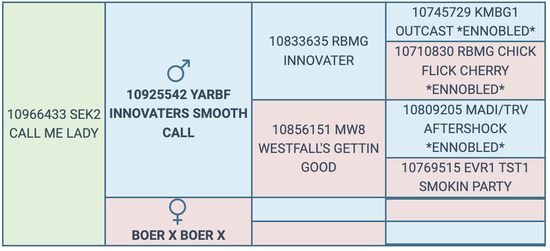 Screenshot 2024-10-08 at 10.48.40 AM
