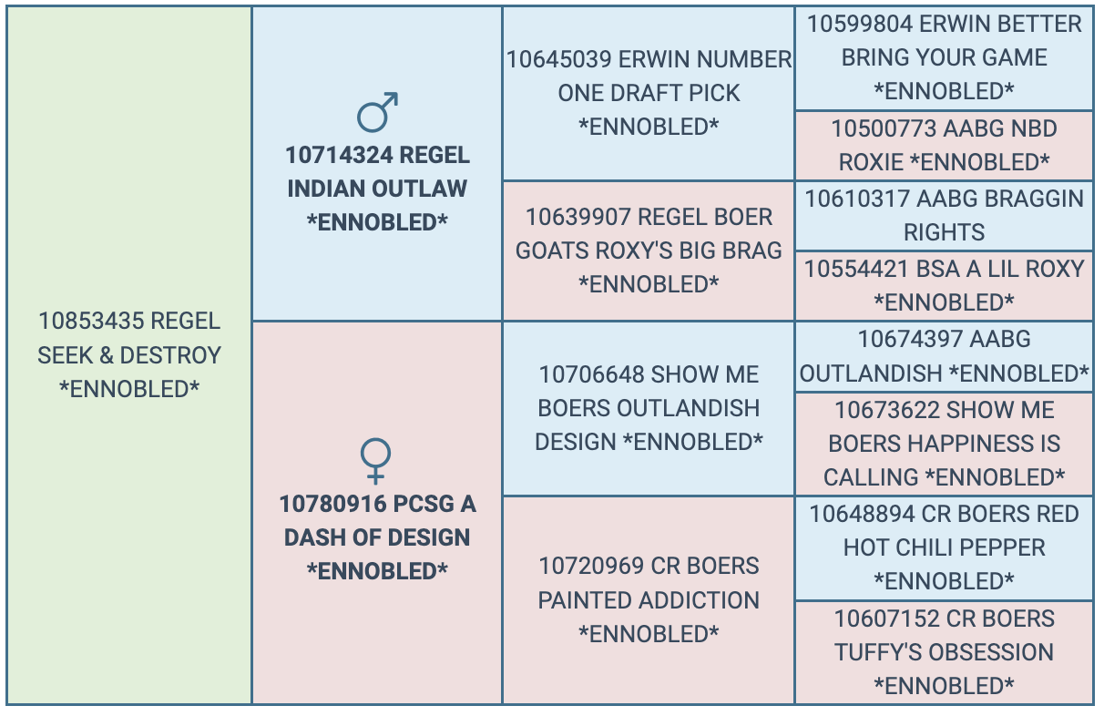 Screenshot 2024-10-08 at 8.23.04 AM