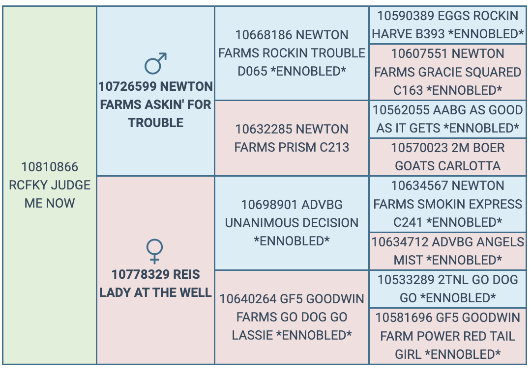 Screenshot 2024-10-08 at 9.13.21 AM