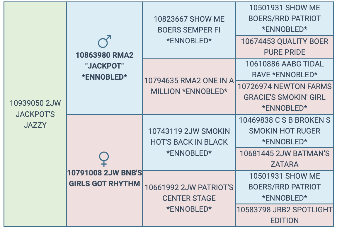 Screenshot 2024-10-10 at 1.15.54 PM
