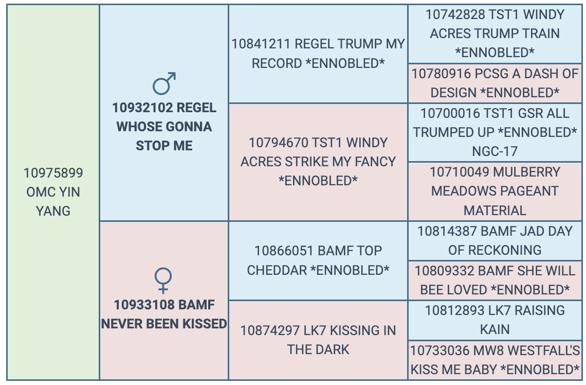 Screenshot 2024-10-10 at 10.06.19 AM