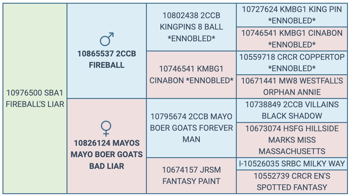 Screenshot 2024-10-10 at 10.10.06 AM