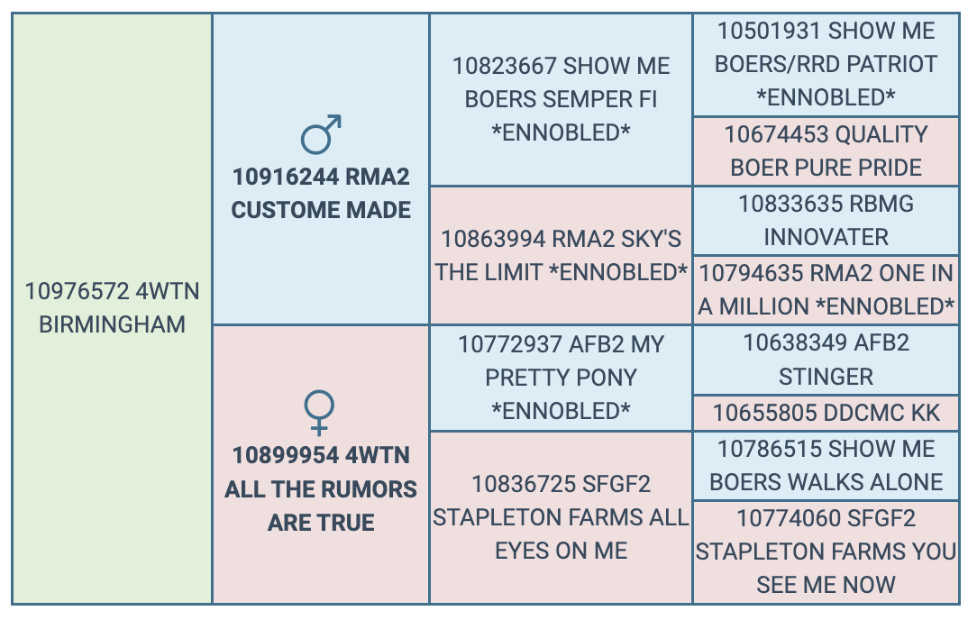 Screenshot 2024-10-12 at 10.05.12 AM