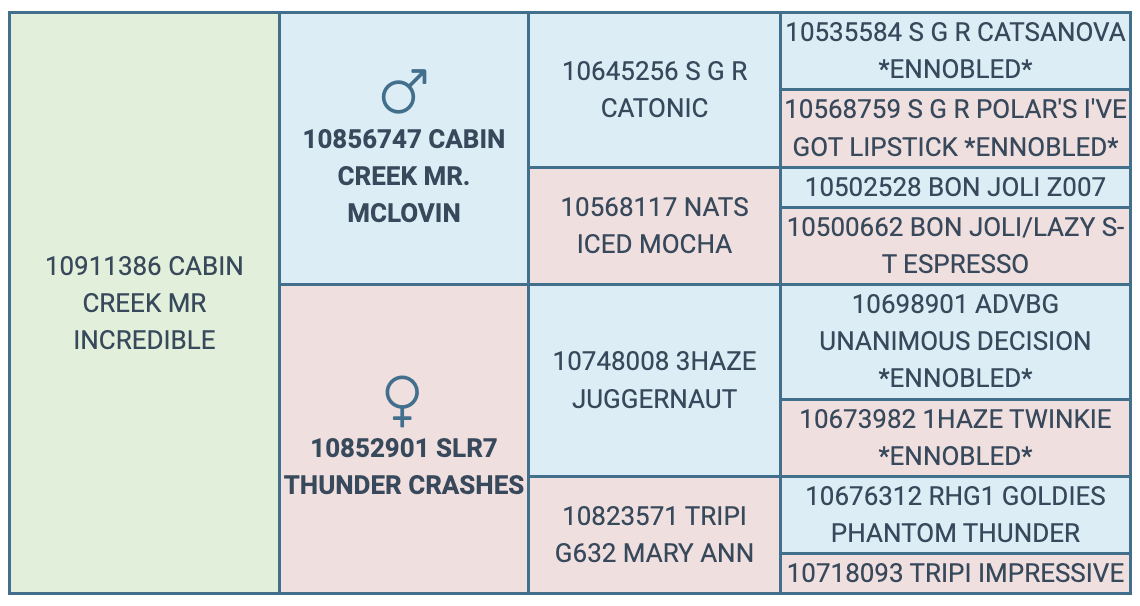 Screenshot 2024-10-14 at 10.13.11 AM