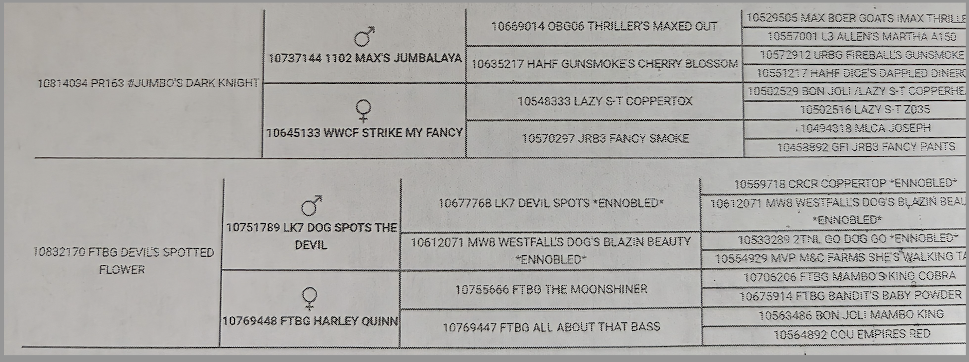 Screenshot 2024-10-14 at 10.29.52 AM