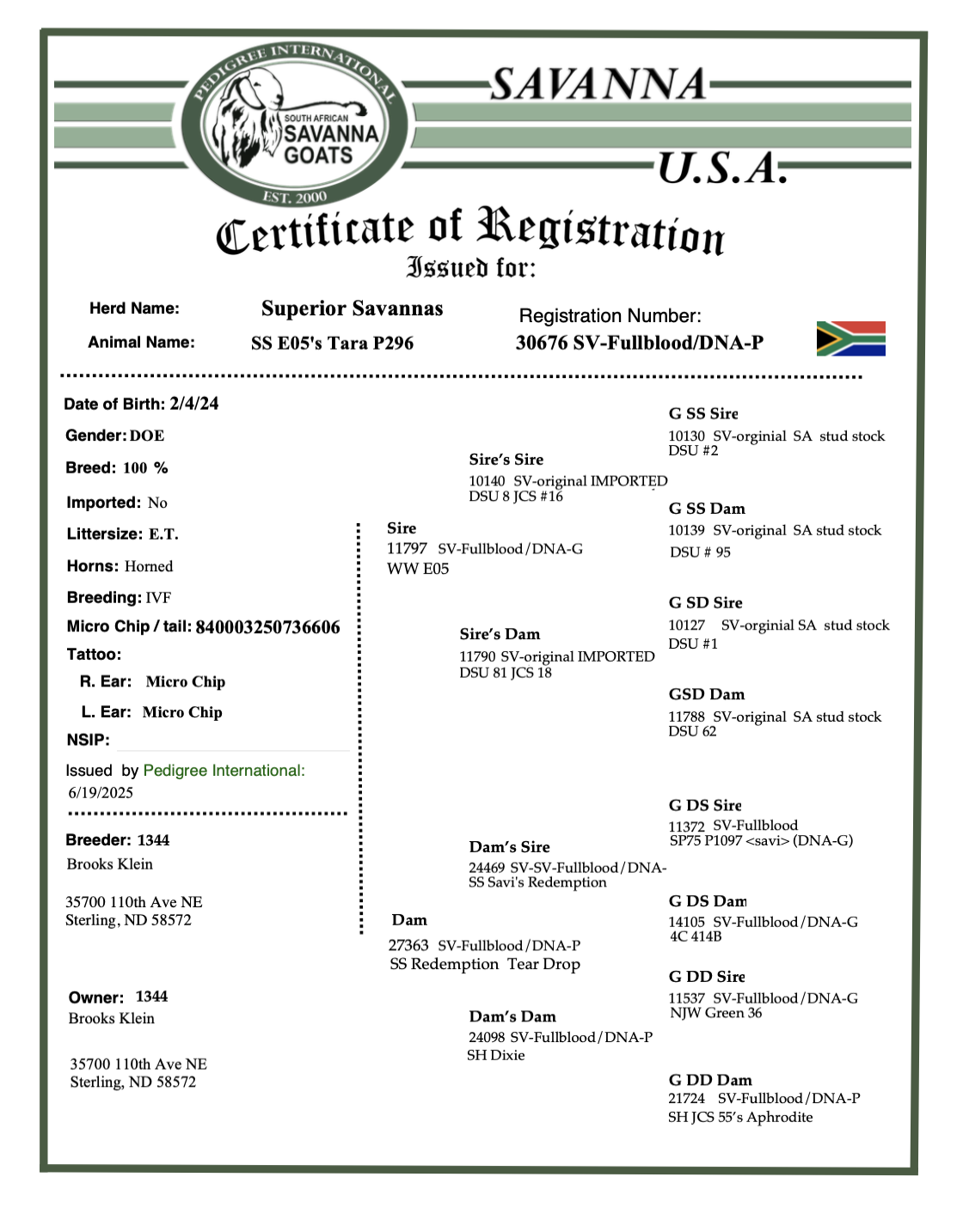 Screenshot 2025-07-20 at 4.10.53 PM