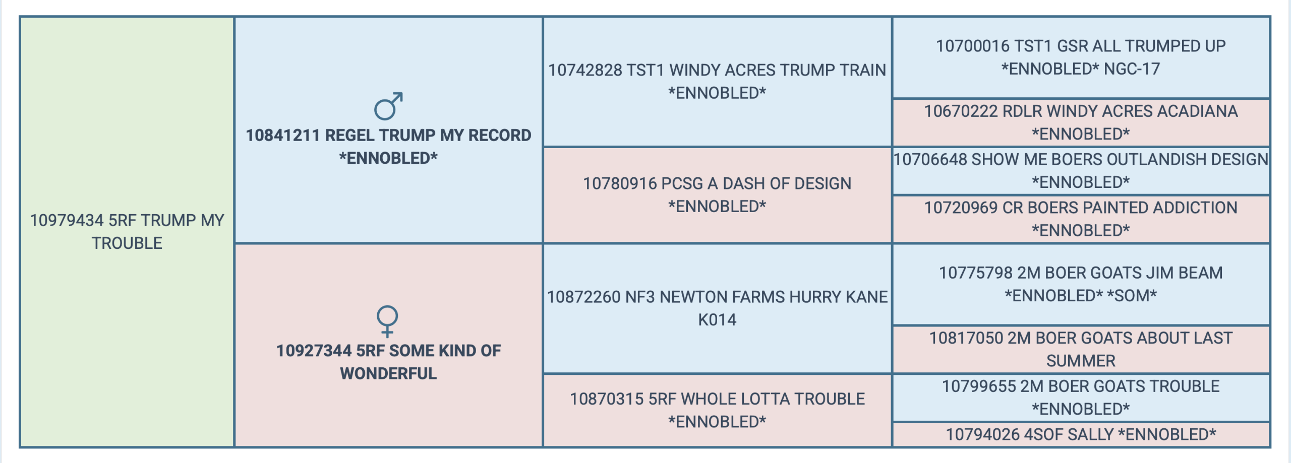 Screenshot 2025-07-20 at 4.58.44 PM