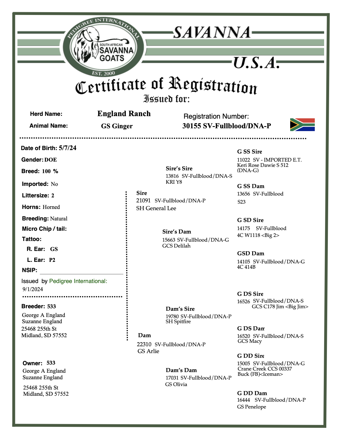 Screenshot 2025-07-22 at 4.34.07 AM