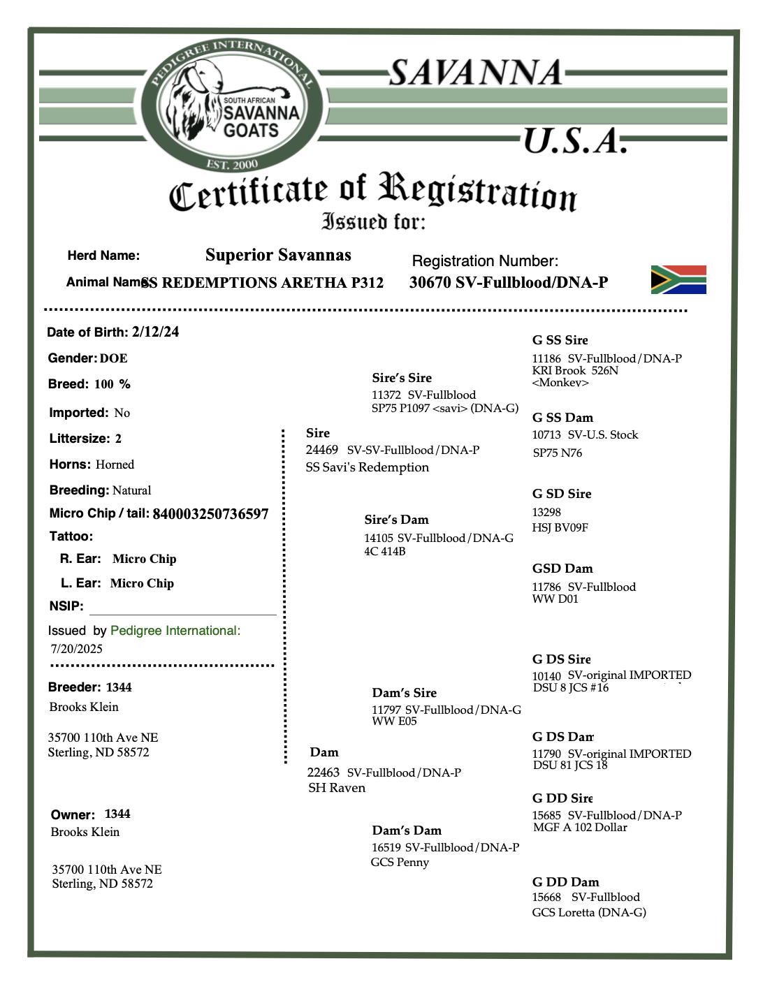 Screenshot 2025-07-22 at 4.52.48 AM