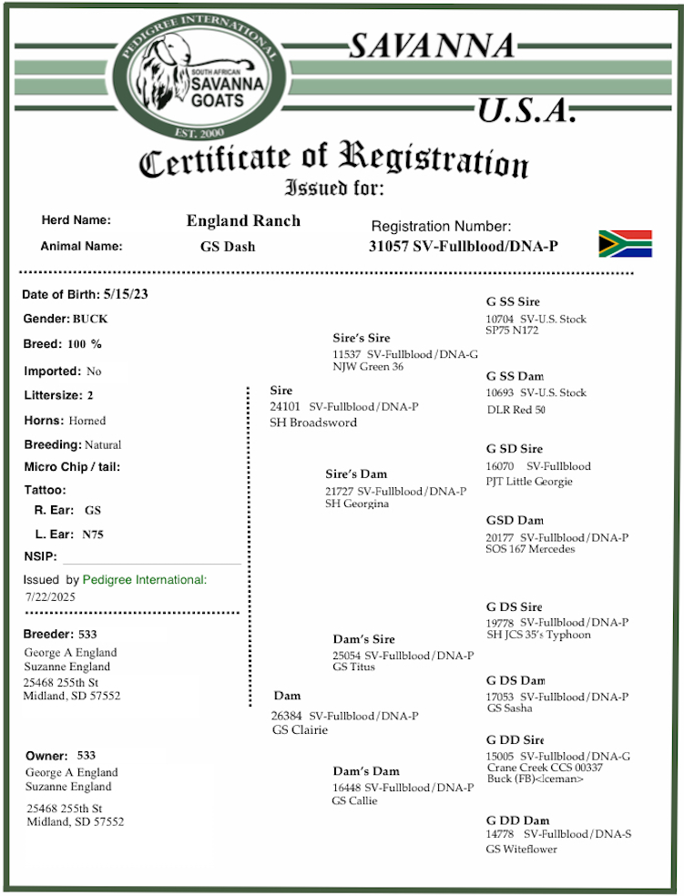 Screenshot 2025-07-25 at 10.53.48 AM