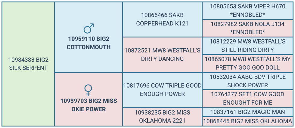 Screenshot 2025-07-25 at 11.36.01 AM