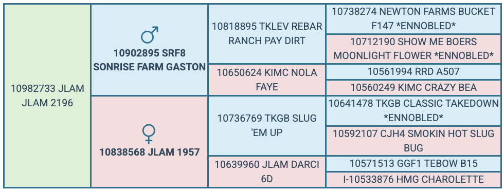 Screenshot 2025-07-25 at 5.05.50 PM