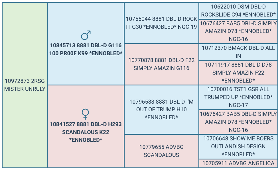 Screenshot 2025-07-25 at 5.08.44 PM