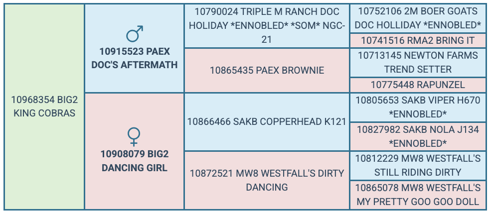 Screenshot 2025-07-25 at 5.54.57 PM