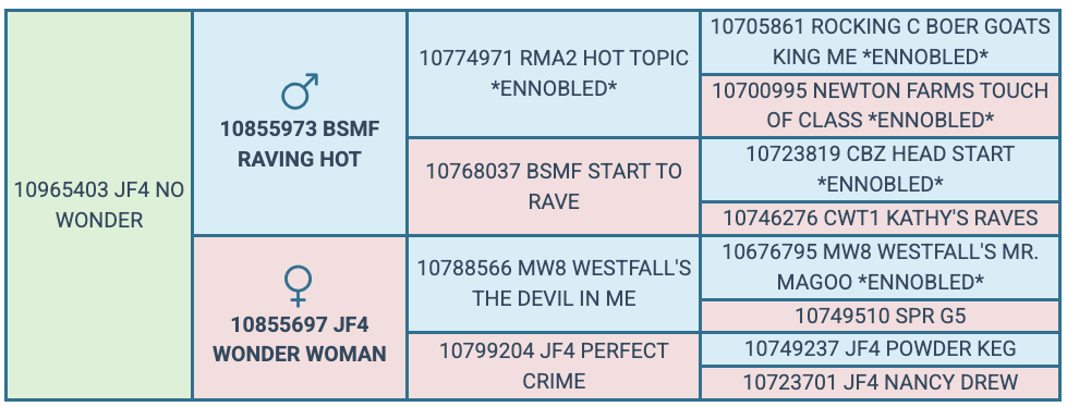 Screenshot 2025-07-25 at 5.57.39 PM