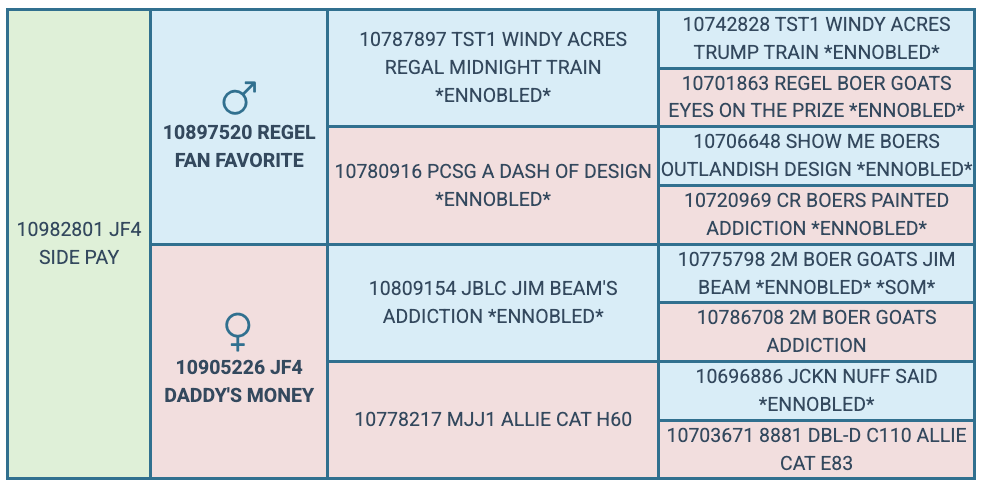 Screenshot 2025-07-25 at 6.00.11 PM