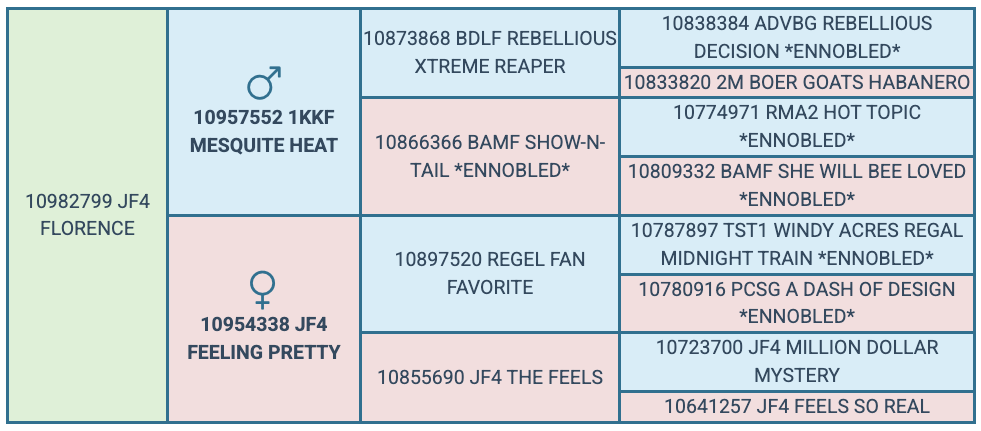 Screenshot 2025-07-25 at 6.05.42 PM