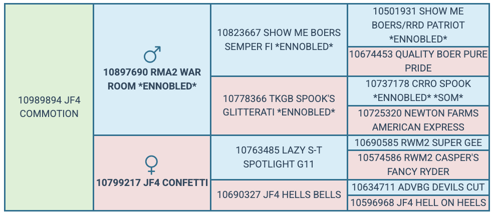 Screenshot 2025-07-25 at 6.09.39 PM