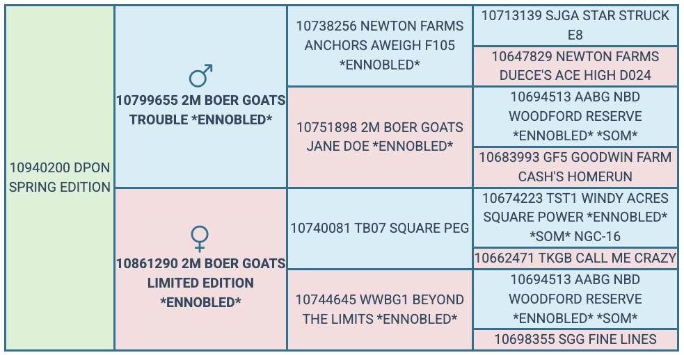 Screenshot 2025-07-25 at 6.12.44 PM