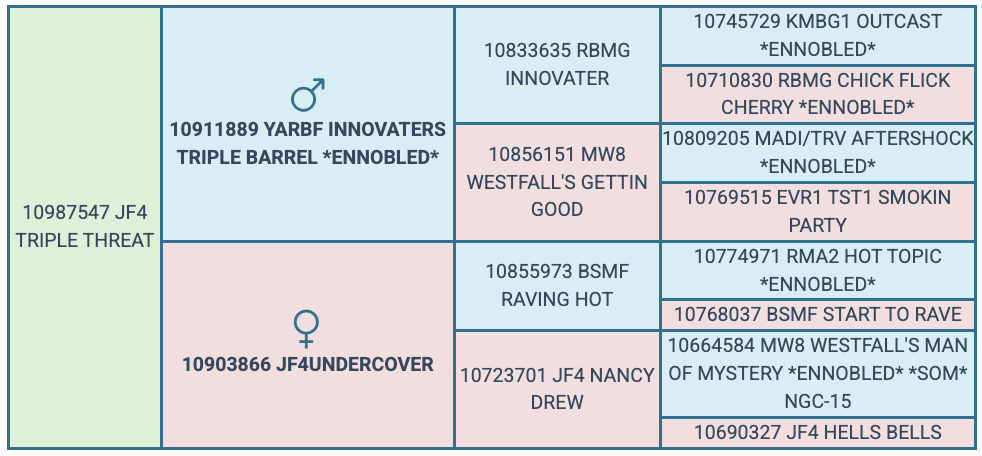 Screenshot 2025-07-25 at 6.26.45 PM