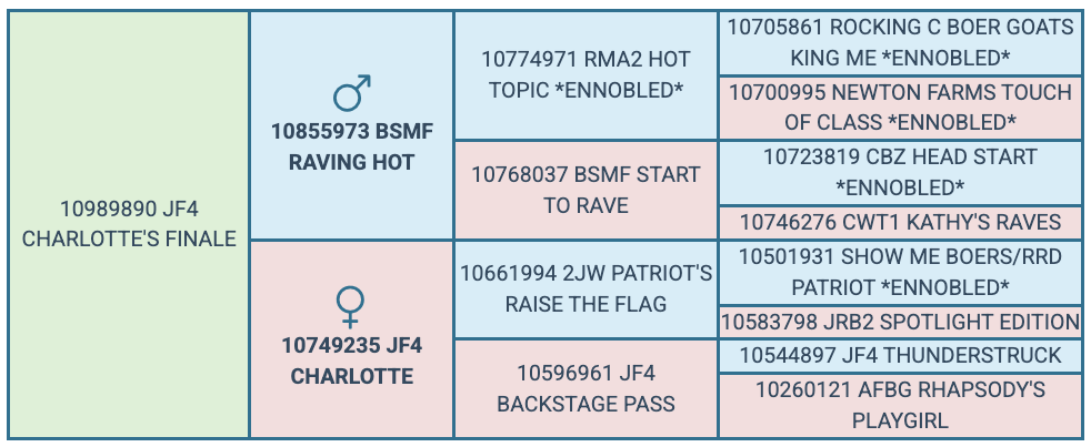 Screenshot 2025-07-25 at 6.35.07 PM