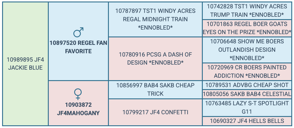 Screenshot 2025-07-25 at 6.45.53 PM