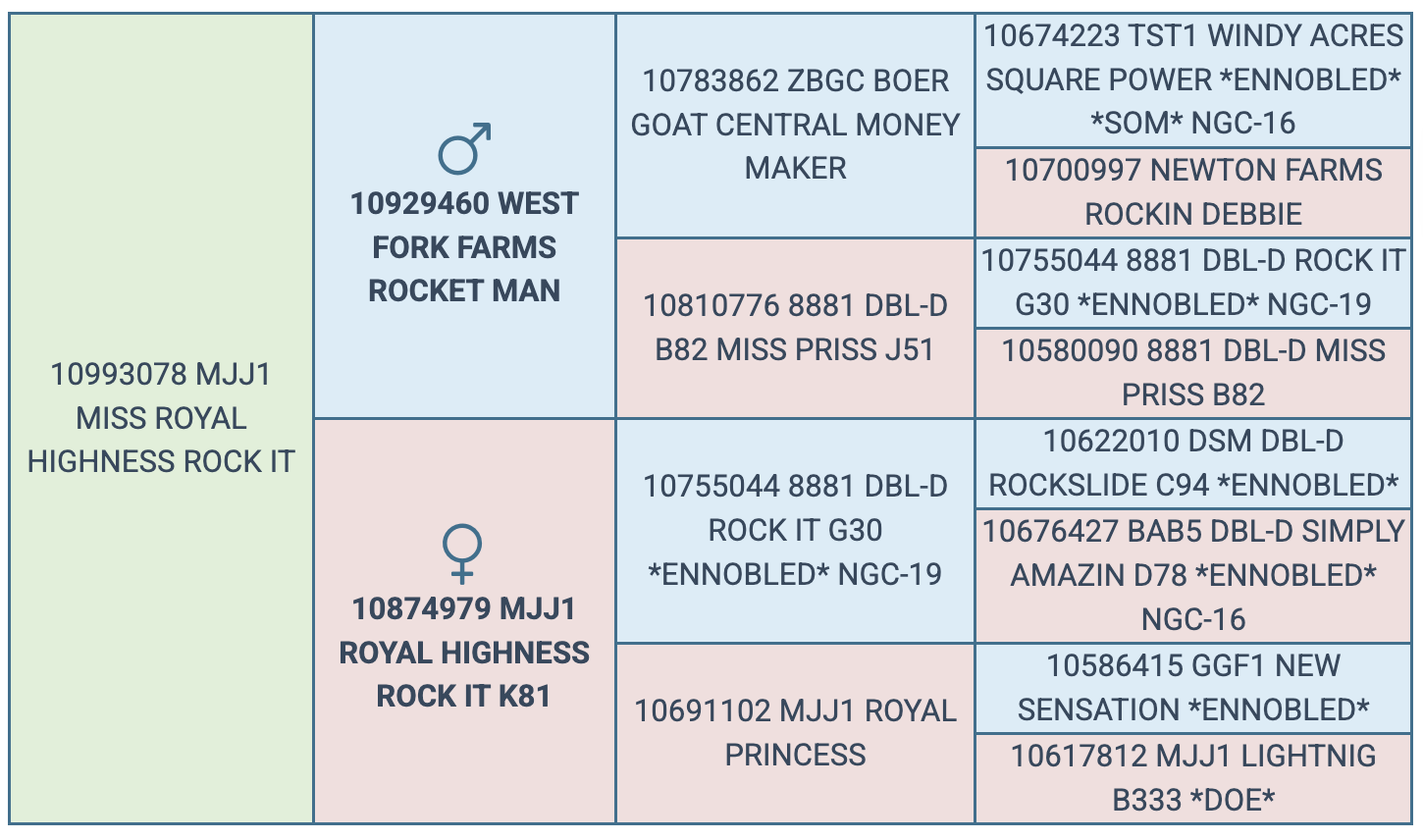 Screenshot 2025-07-27 at 10.02.34 PM