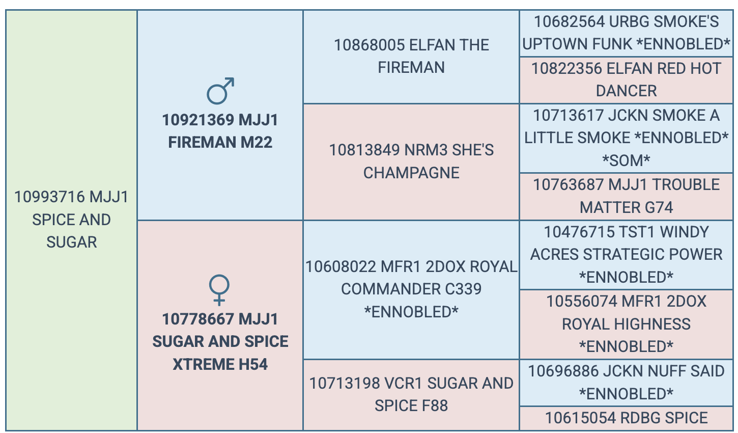 Screenshot 2025-07-27 at 10.06.14 PM