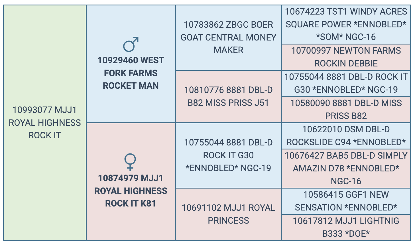 Screenshot 2025-07-27 at 10.11.06 PM