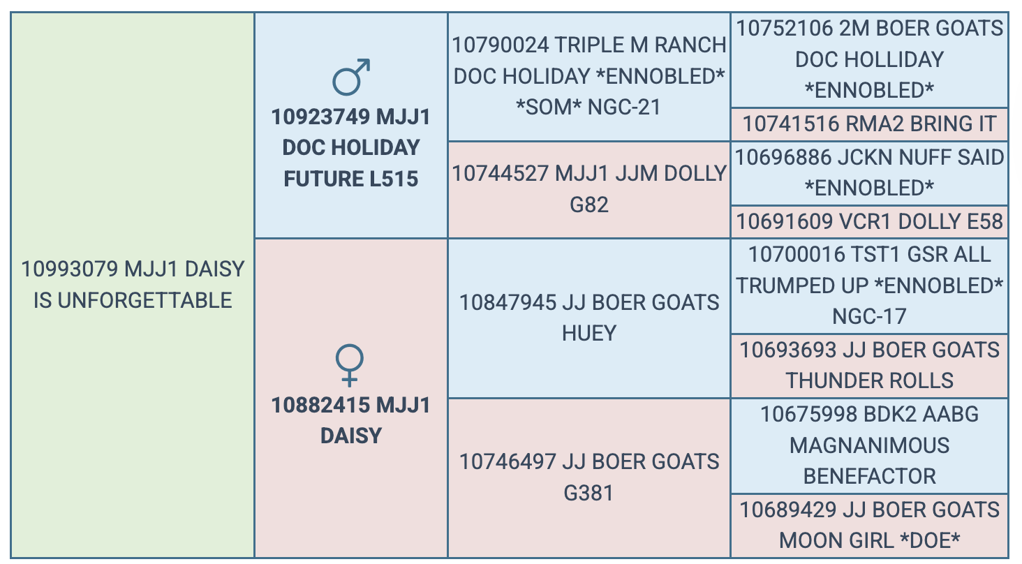 Screenshot 2025-07-27 at 10.13.05 PM