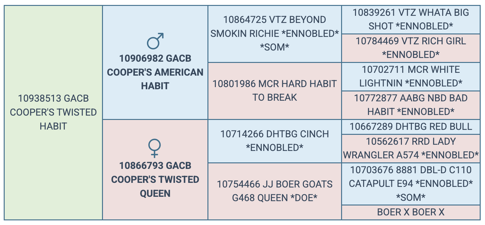 Screenshot 2025-07-27 at 9.33.26 PM