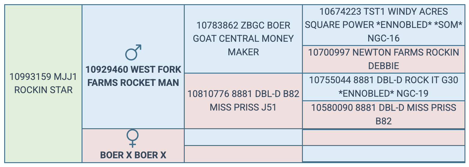 Screenshot 2025-07-27 at 9.39.40 PM