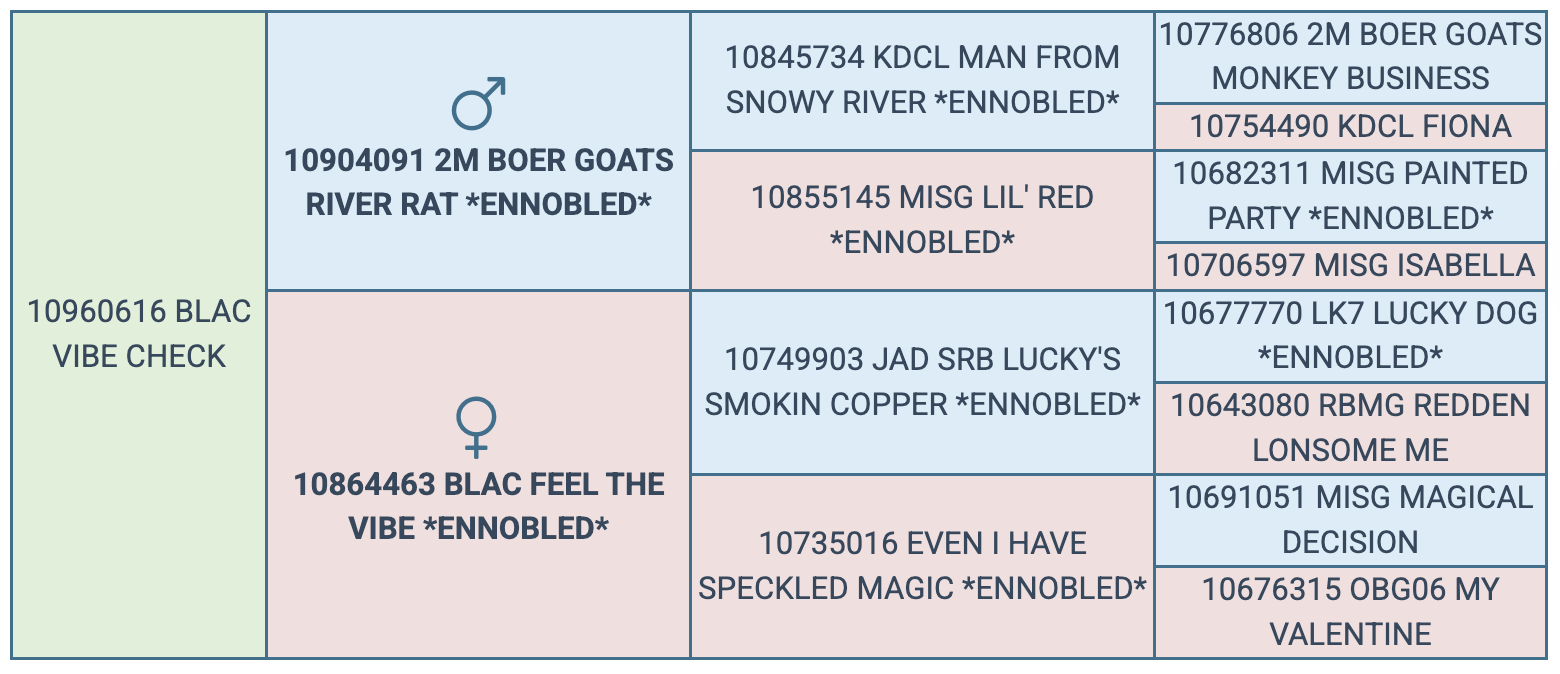 Screenshot 2025-07-27 at 9.45.08 PM