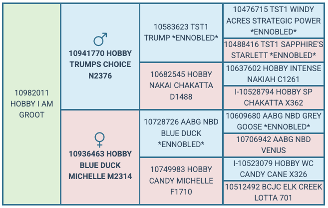 Screenshot 2025-07-29 at 12.39.38 PM