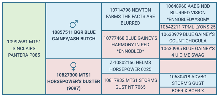 Screenshot 2025-07-29 at 8.42.46 AM