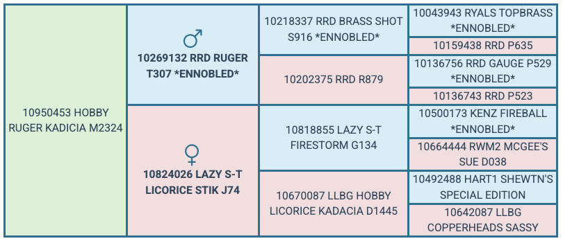 Screenshot 2025-07-29 at 9.22.57 AM