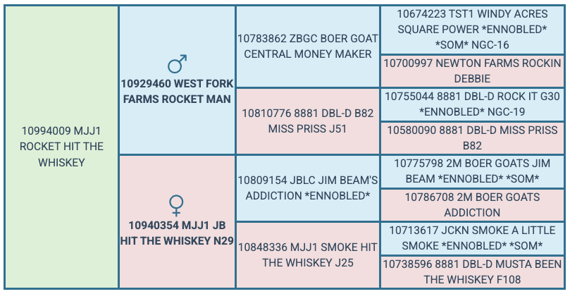 Screenshot 2025-07-29 at 9.30.49 AM