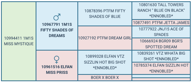 Screenshot 2025-07-30 at 10.54.50 AM