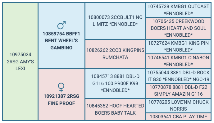 Screenshot 2025-07-31 at 11.17.50 AM