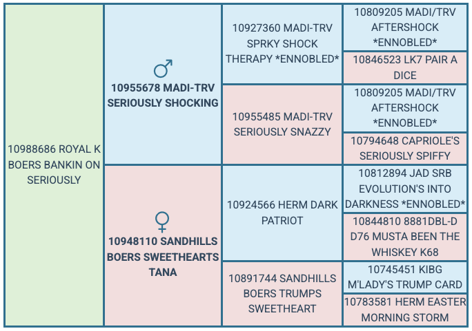 Screenshot 2025-07-31 at 11.21.04 AM