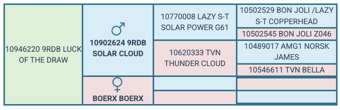 Screenshot 2025-07-31 at 11.26.12 AM