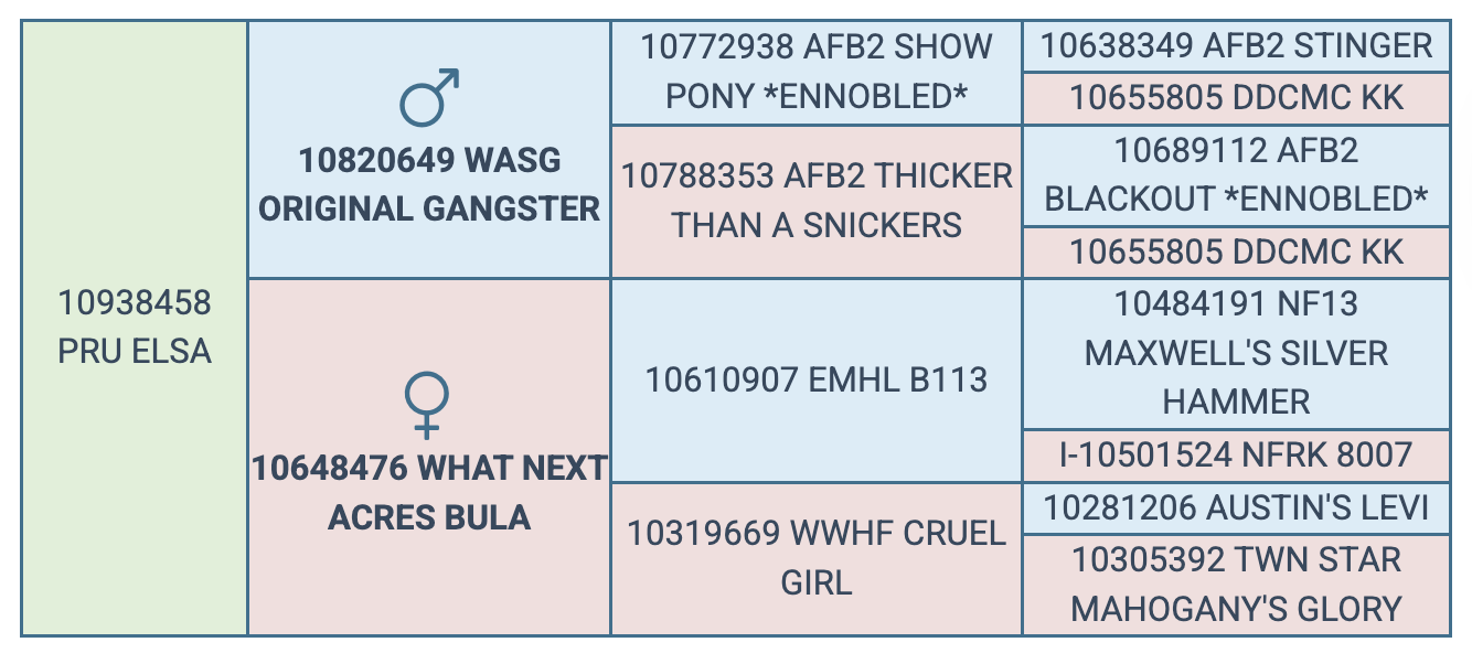 Screenshot 2025-08-01 at 8.12.57 AM