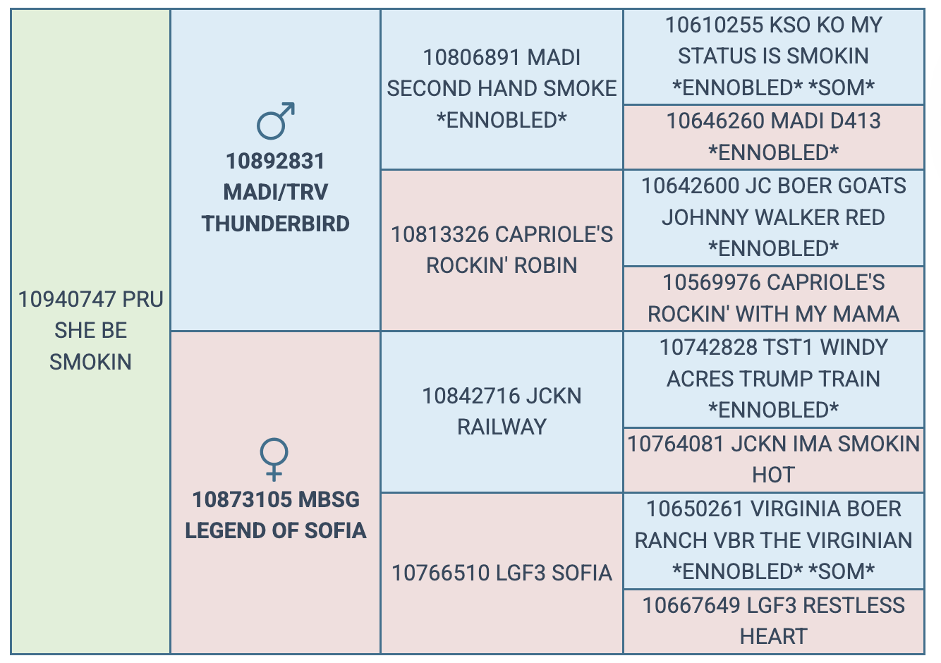Screenshot 2025-08-01 at 8.18.48 AM