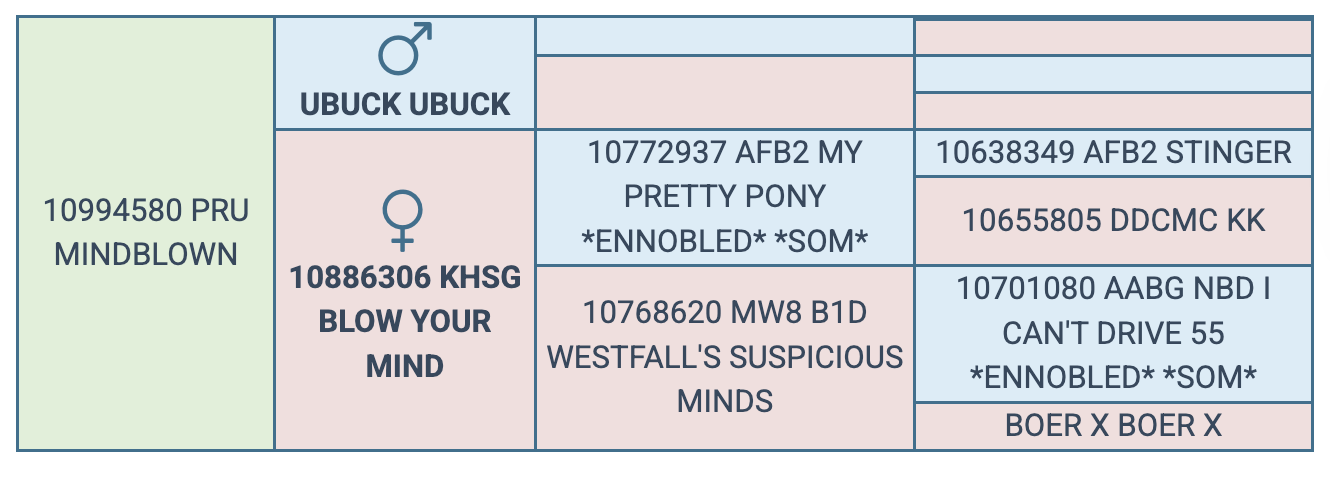 Screenshot 2025-08-01 at 8.23.03 AM