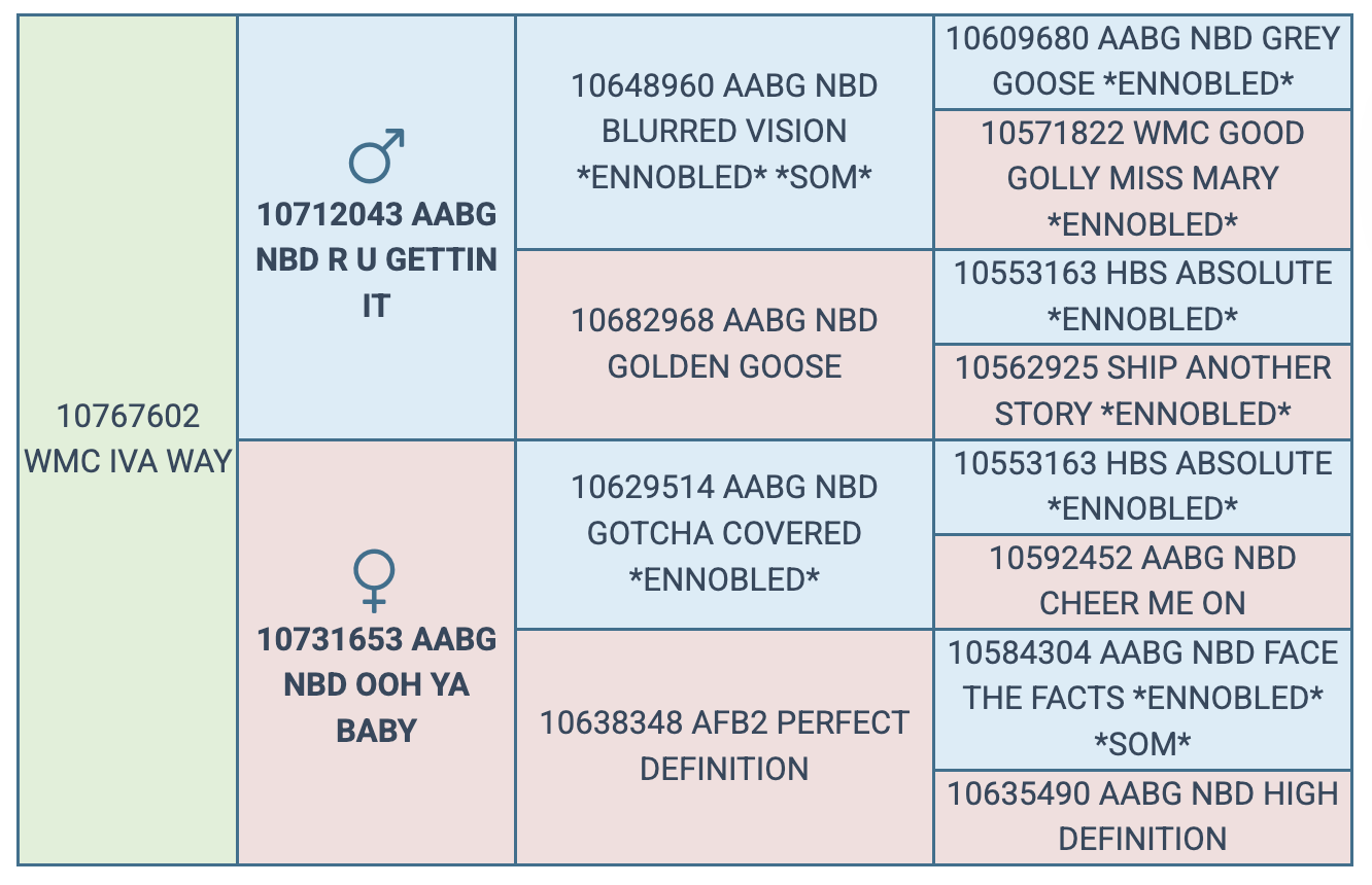 Screenshot 2025-08-01 at 8.27.58 AM