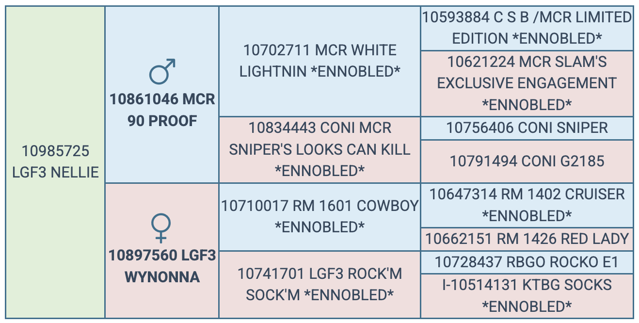 Screenshot 2025-08-01 at 8.39.29 AM