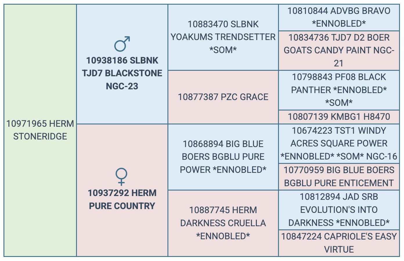 Screenshot 2025-08-01 at 9.00.02 AM