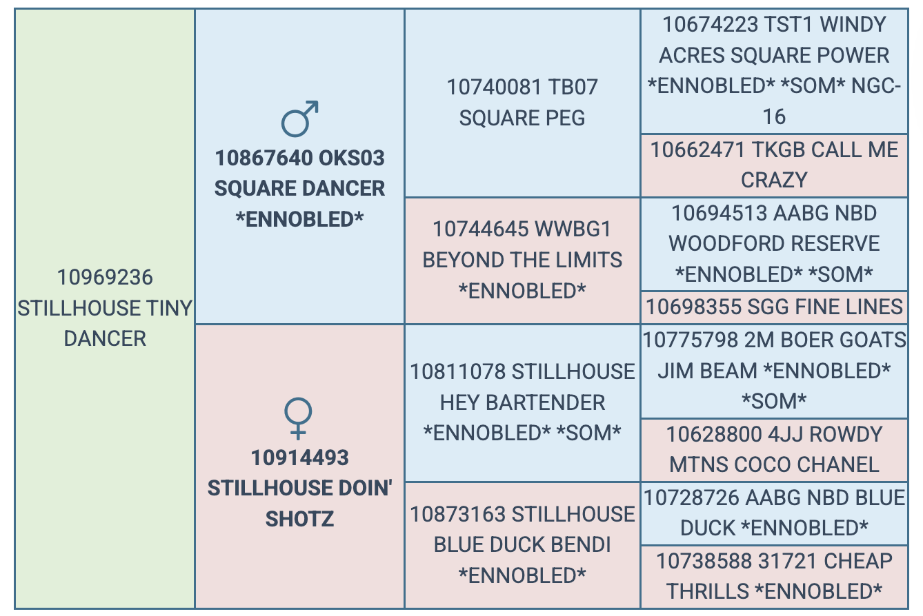 Screenshot 2025-08-02 at 8.27.59 PM